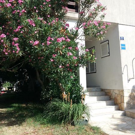 Apartman Nona Povljana Zewnętrze zdjęcie