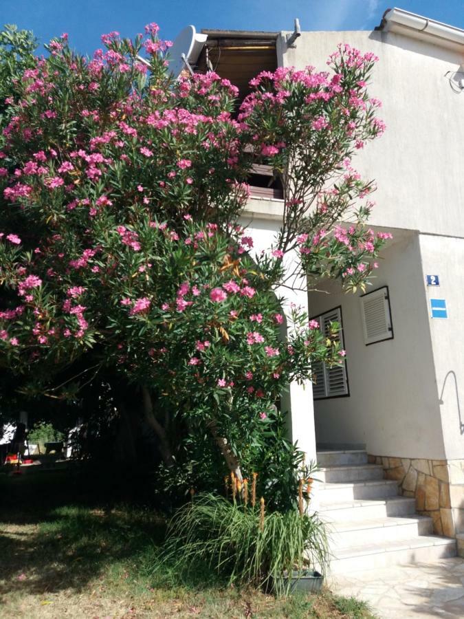 Apartman Nona Povljana Zewnętrze zdjęcie
