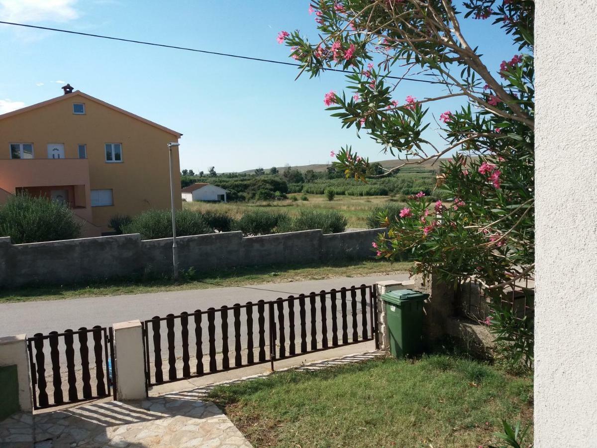 Apartman Nona Povljana Zewnętrze zdjęcie