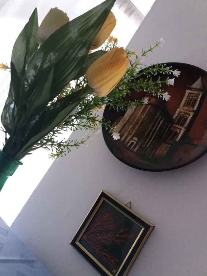 Apartman Nona Povljana Zewnętrze zdjęcie