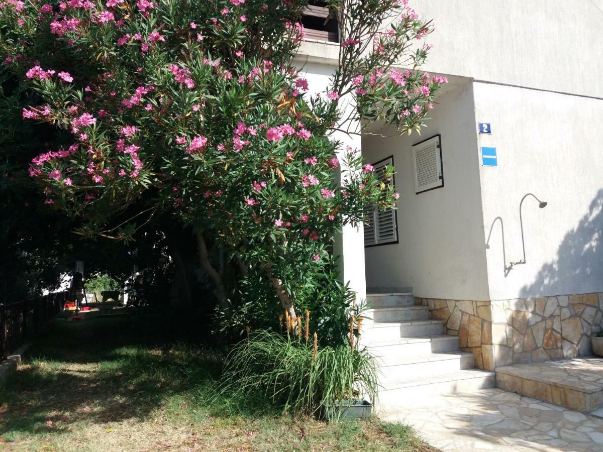 Apartman Nona Povljana Zewnętrze zdjęcie